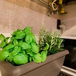 Apartman Old Town Square Bergamo
