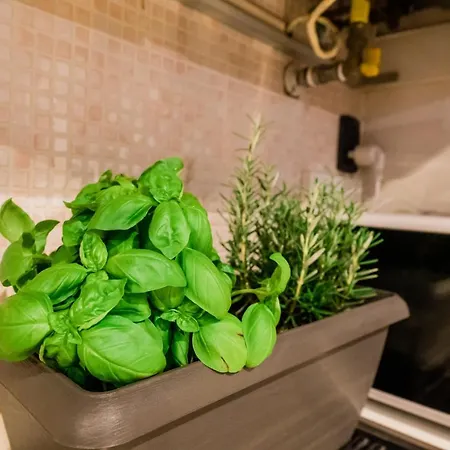 Apartamento Old Town Square Bérgamo