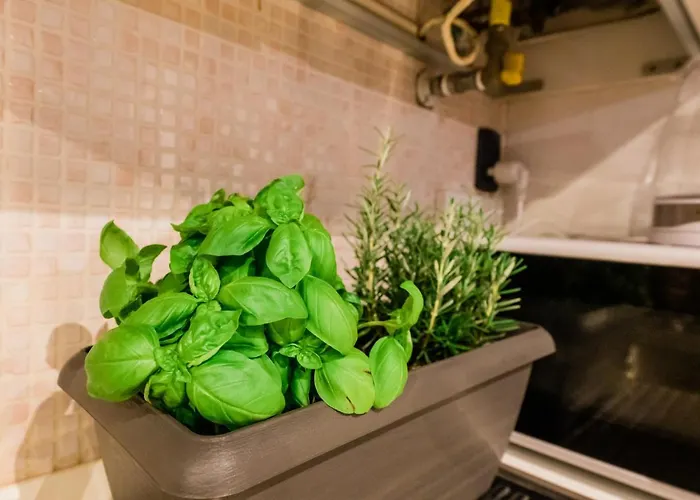 Daire Old Town Square Bergamo