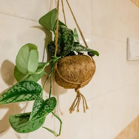 Апартаменти Old Town Square *